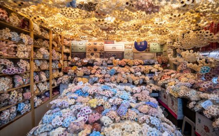 Tham quan các khu chợ hoa tươi ở Đào Viên