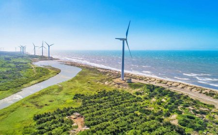 Khám phá những con đường mòn đi bộ ven biển ở Đào Viên