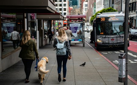 Xe buýt Đài Loan: Tất tần tật thông tin về các tuyến xe, cách mua vé và những điều cần lưu ý