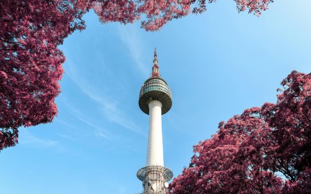 Du Học Đài Loan, Vi Vu Hàn Quốc: Hướng Dẫn Xin Visa Du Lịch Chi Tiết Cho Du Học Sinh