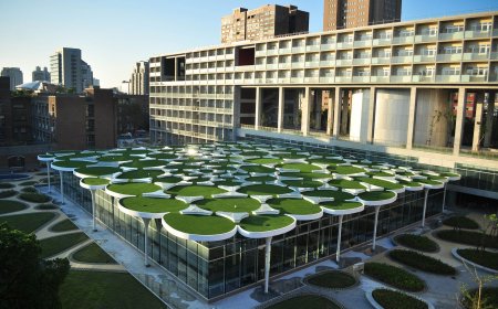 Đại học Quốc gia Đài Nam | National University of Tainan